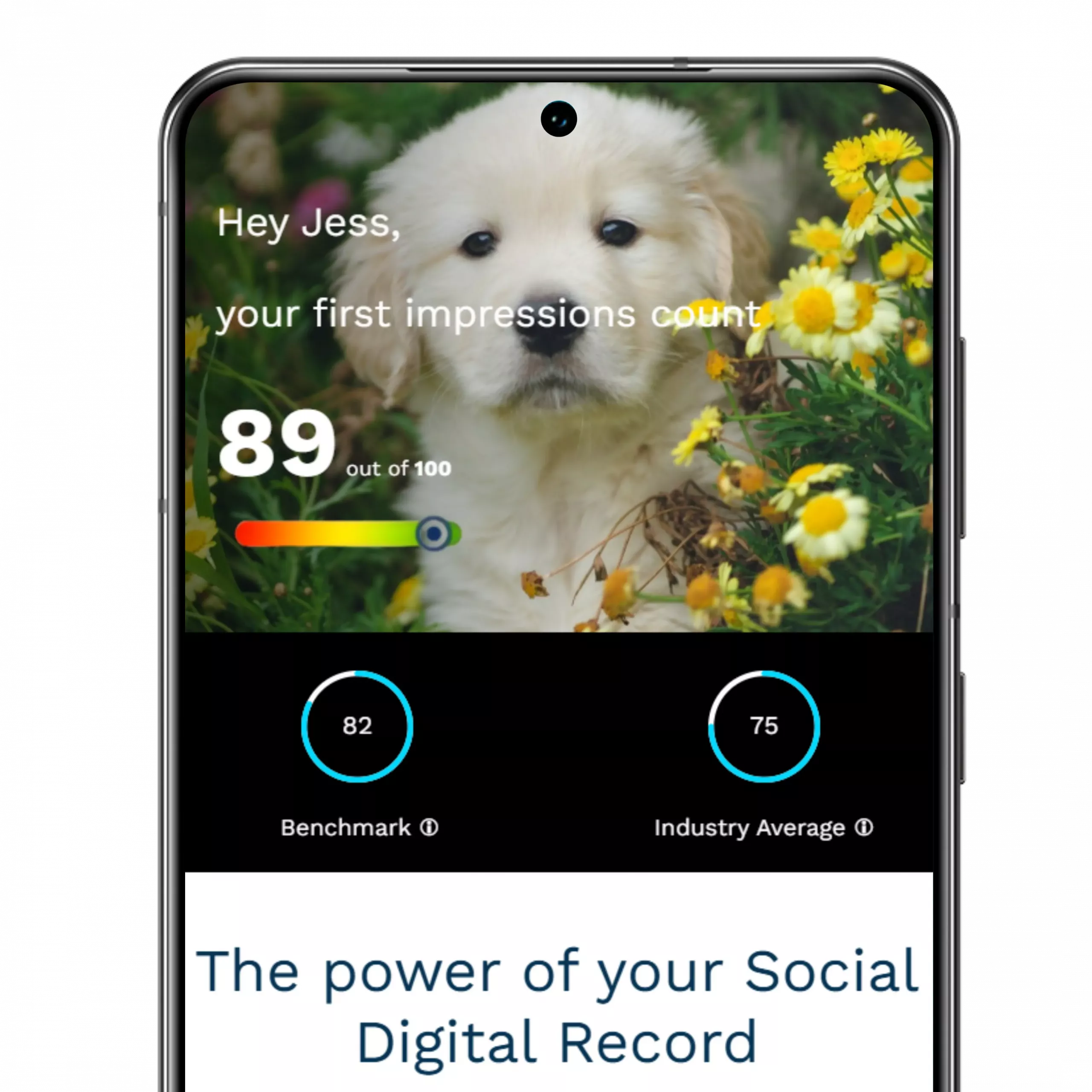 Social Digital Record
